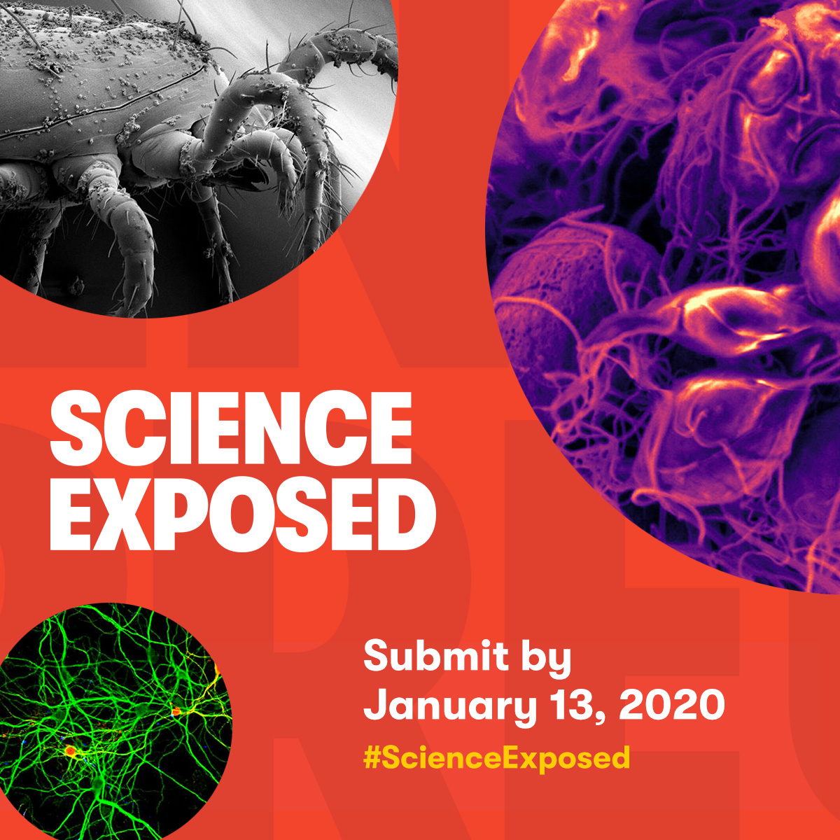 Science Exposed. Submit by January 13, 2020.
