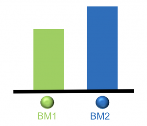 Bar graph. Green bar is called BM1. Blue bar next to green bar is taller and called BM2.